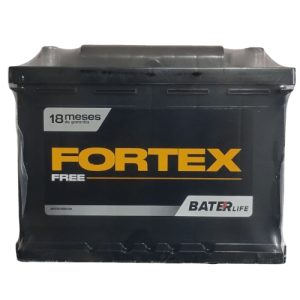 FORTEX 1 (1)