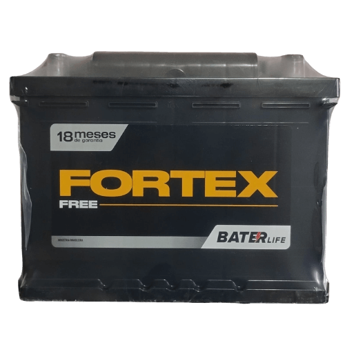 FORTEX 1 (1)